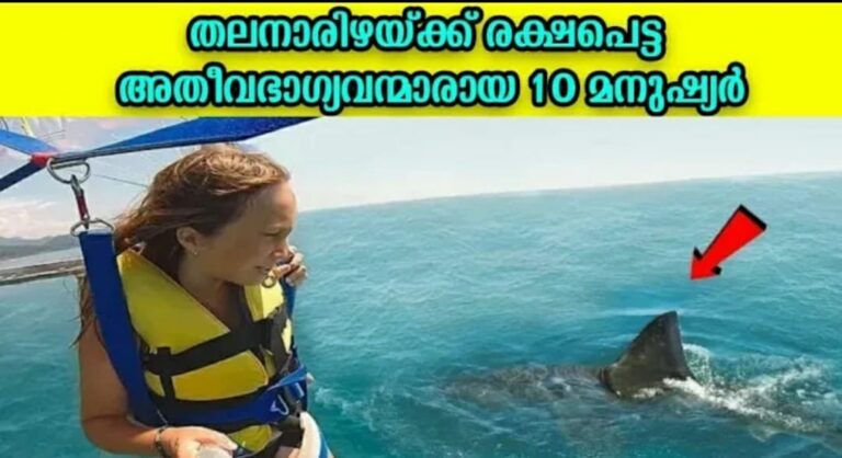 തലനാരിഴയ്ക്ക് രക്ഷപെട്ട അതീവഭാഗ്യവന്മാരായ 10 മനുഷ്യർ